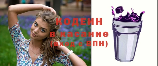 соль ск Арсеньев