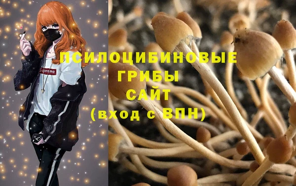 тгк Аркадак