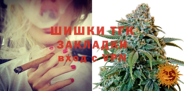 тгк Аркадак