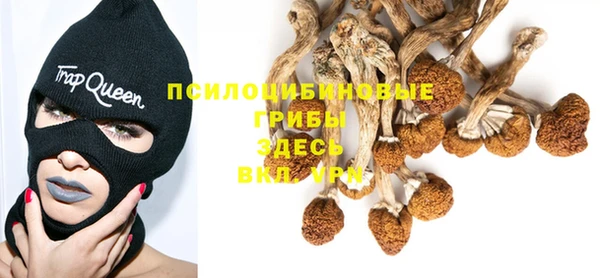синтетический гашиш Армянск