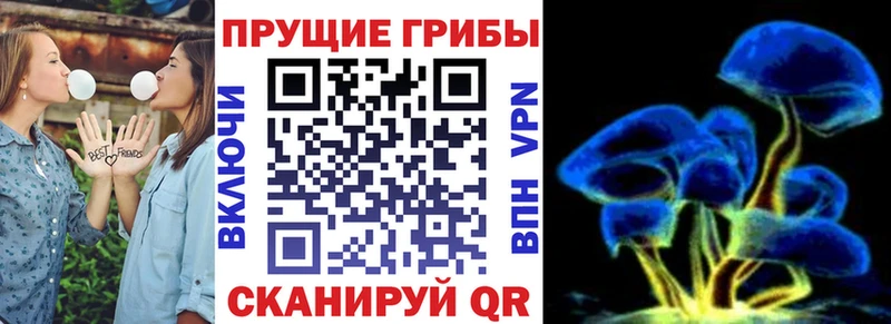 даркнет какой сайт  Исилькуль  Псилоцибиновые грибы Psilocybe 
